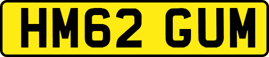 HM62GUM