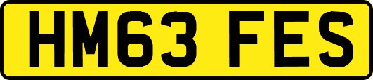 HM63FES