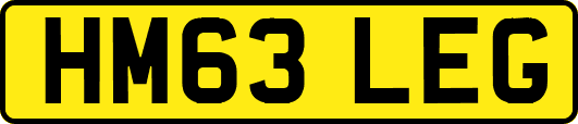 HM63LEG