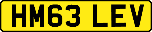 HM63LEV