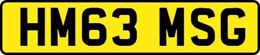 HM63MSG