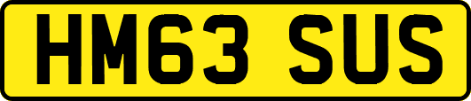 HM63SUS
