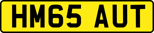 HM65AUT