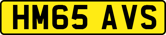 HM65AVS