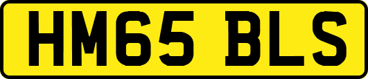 HM65BLS