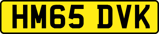 HM65DVK