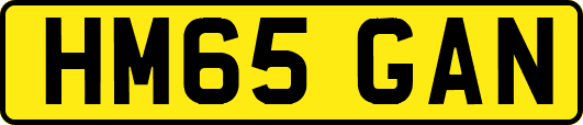 HM65GAN