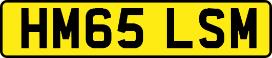 HM65LSM