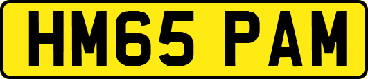 HM65PAM