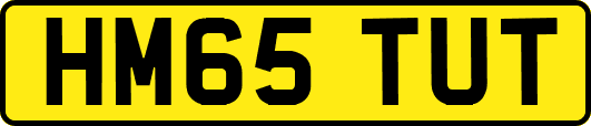 HM65TUT