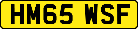 HM65WSF