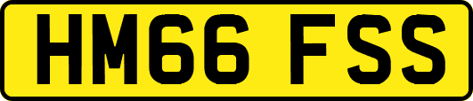 HM66FSS