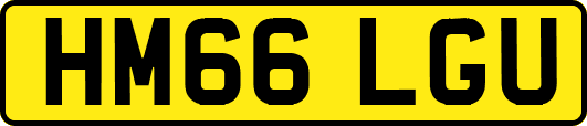 HM66LGU