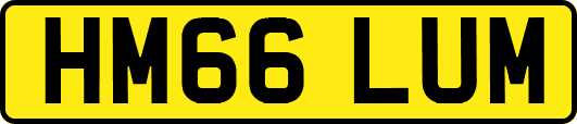 HM66LUM