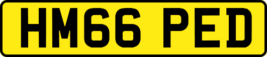 HM66PED