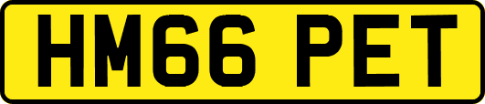 HM66PET