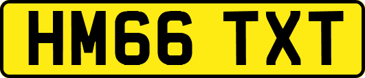 HM66TXT