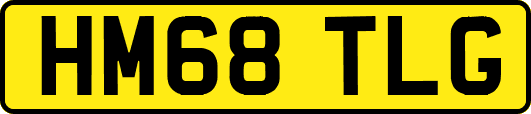 HM68TLG