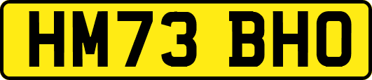 HM73BHO
