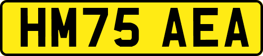 HM75AEA