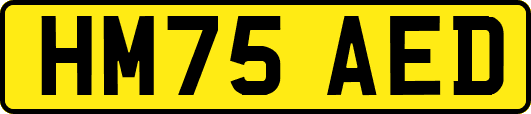 HM75AED