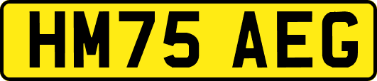 HM75AEG