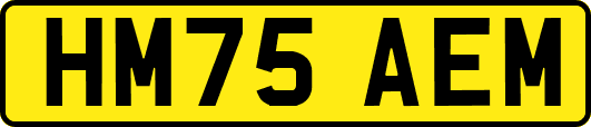 HM75AEM