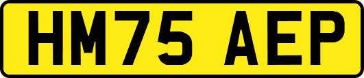 HM75AEP