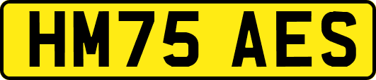 HM75AES