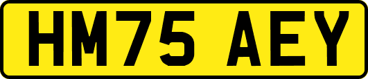 HM75AEY