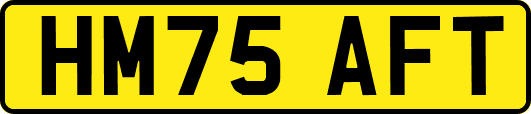 HM75AFT