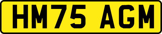 HM75AGM