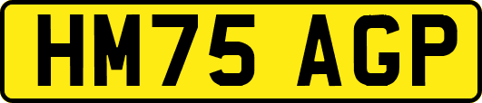HM75AGP