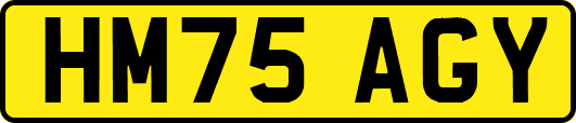 HM75AGY
