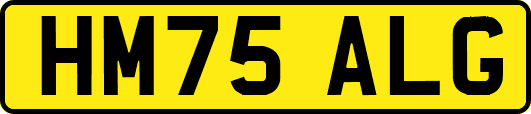 HM75ALG