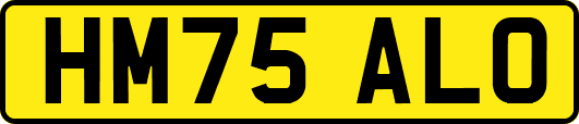 HM75ALO