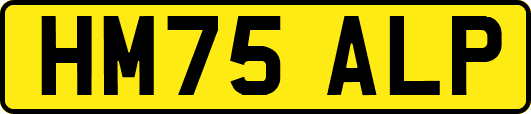 HM75ALP