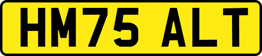 HM75ALT