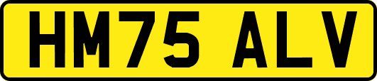 HM75ALV