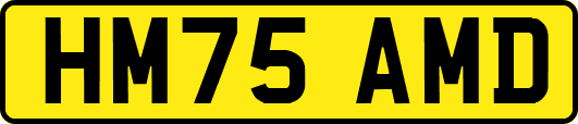 HM75AMD