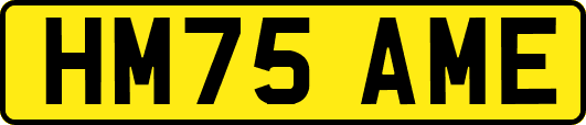HM75AME