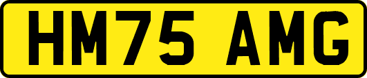 HM75AMG
