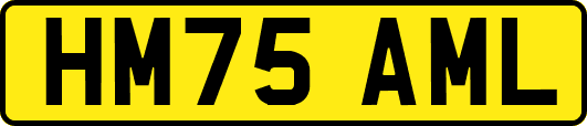 HM75AML