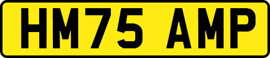 HM75AMP