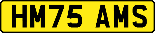 HM75AMS