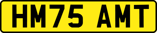 HM75AMT
