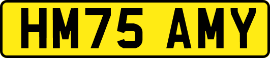 HM75AMY