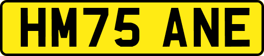HM75ANE