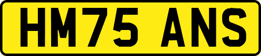 HM75ANS