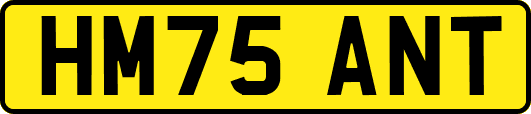 HM75ANT